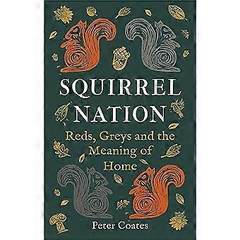 Squirrel Nation: czerwienie, szarości i znaczenie domu