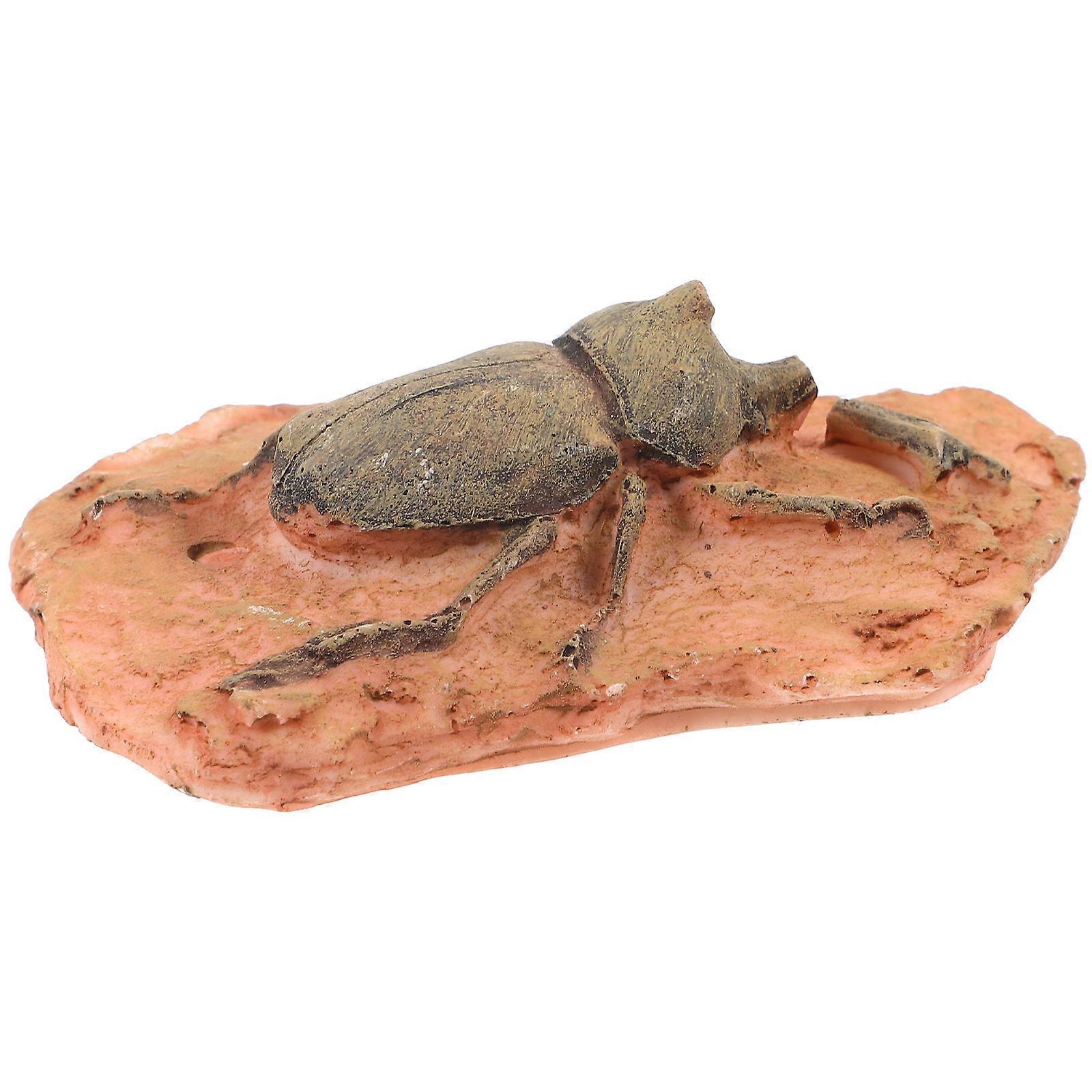 Light Brown Insect Ornamental Specimens for Teaching 3Pcs
