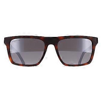 Lacoste Sunglasses L957S 230 Matte Havana Grey
