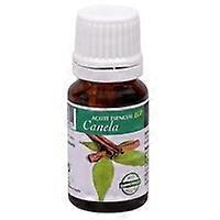 Cinnamon Essential Oil 10 ml