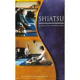 Shiatsu: una guida introduttiva alla tecnica e ai suoi benefici