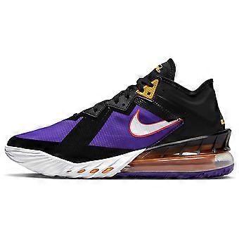 Nike LeBron 18 Low 'ACG Terra' CV7562-003