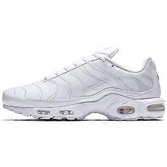 Nike Air Max Plus Triple White AJ2029-100