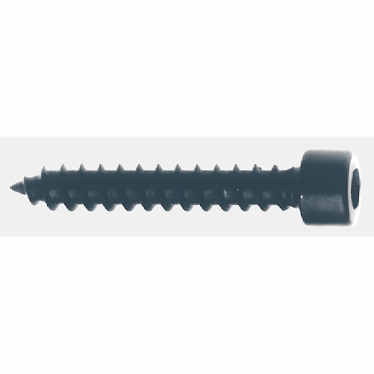 Vis (culasse) 5 x 30 mm