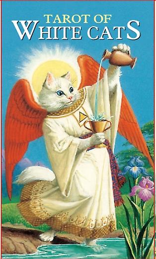 Tarot cards-Oracle cards-Mysterious Tarot-Youthful Tarot Oracle for Neighborhood Fun
