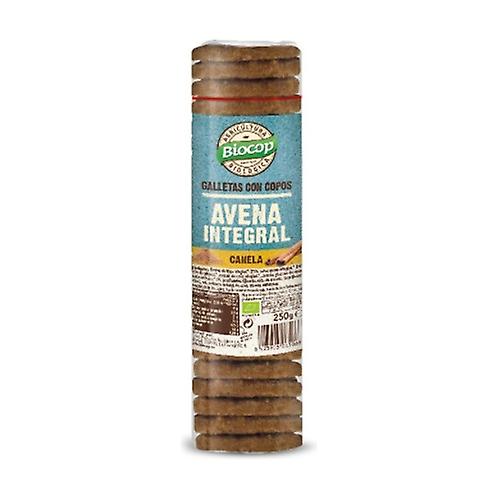 Cookie with wholemeal oat flakes and cinnamon - Biocop 250 g