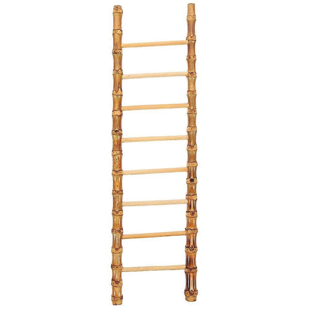 Sushi Rack, Resistant to Breakage and Deformation, Versatile for Various Venues