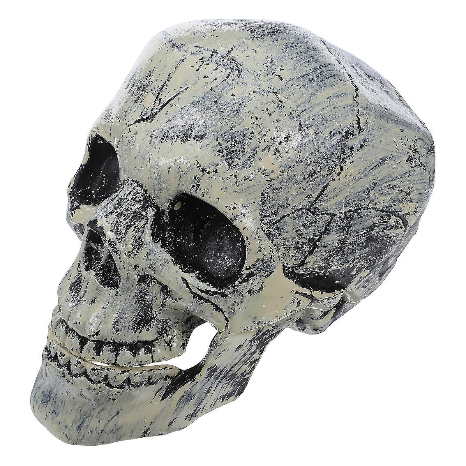 Multi Color Skull Shape Decoration With Moveable Jaw Suitable For KTV Haunted House 1Pack