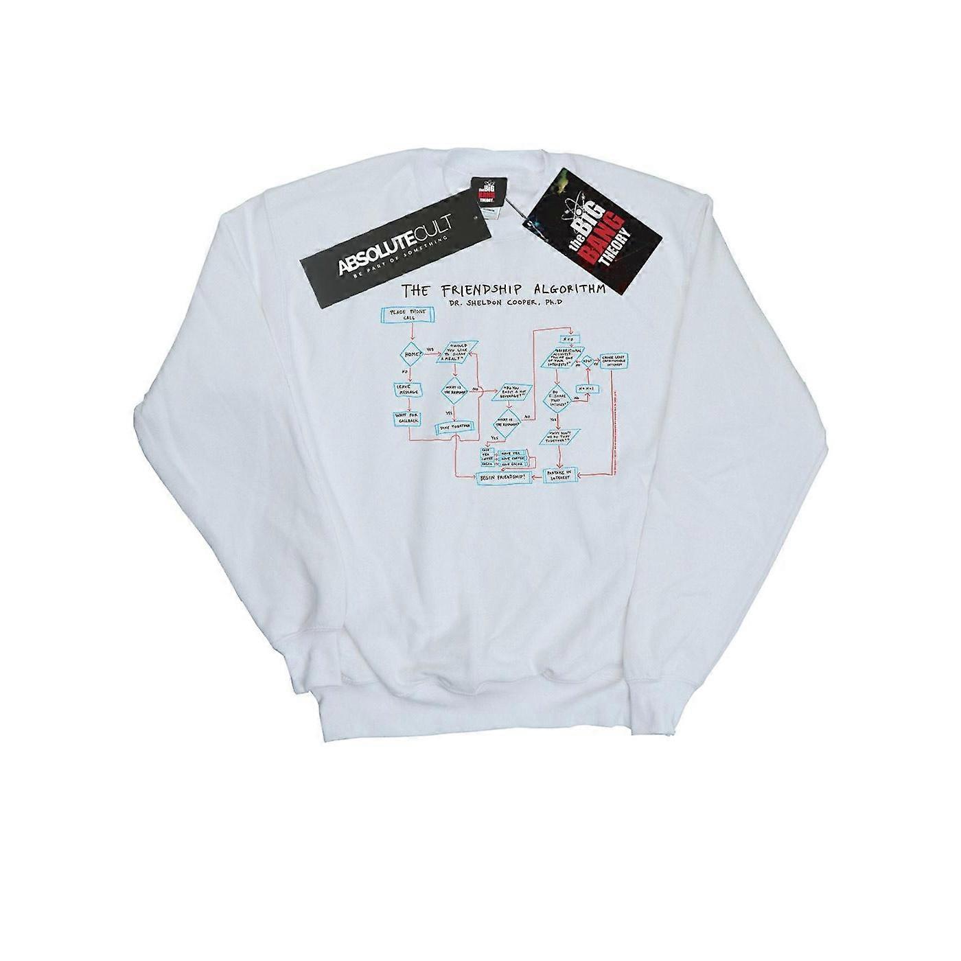 Moletom com Algoritmo de Amizade para Homens The Big Bang Theory