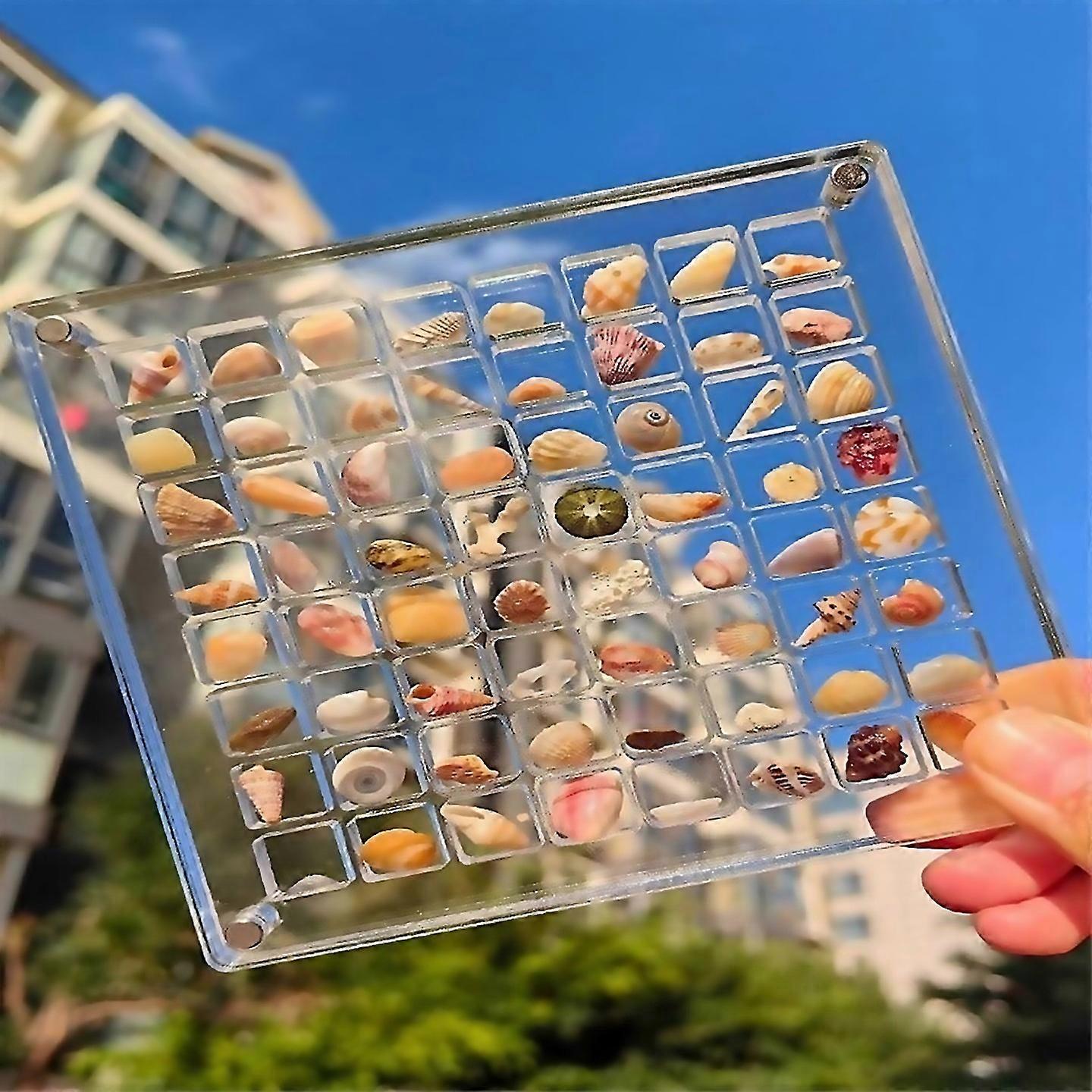 For 2pcs Acrylic Magnetics Seashell Display Box Grids Clear Acrylicc