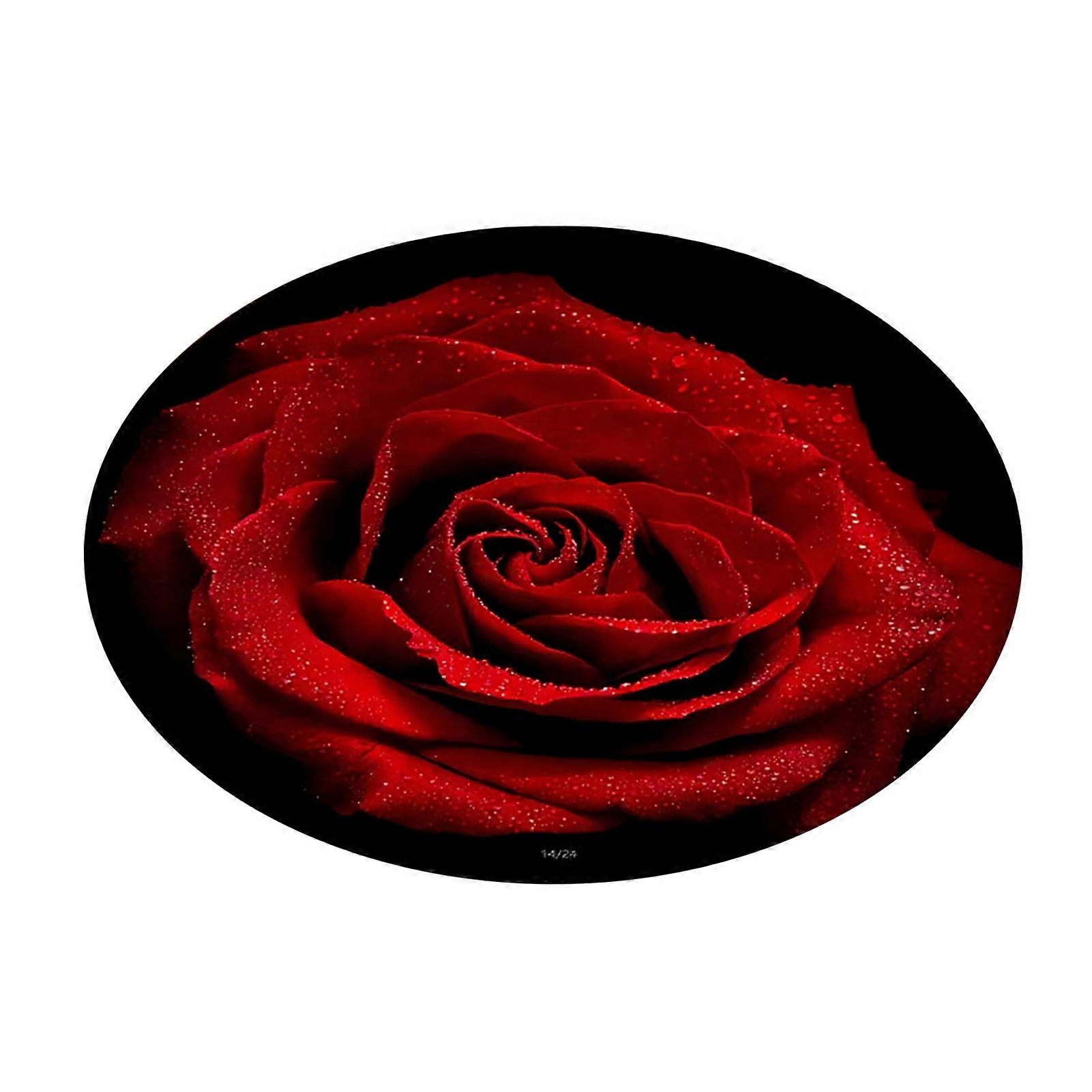 Quick Drying Bath Mat with Rose Pattern for Bathroom and Home