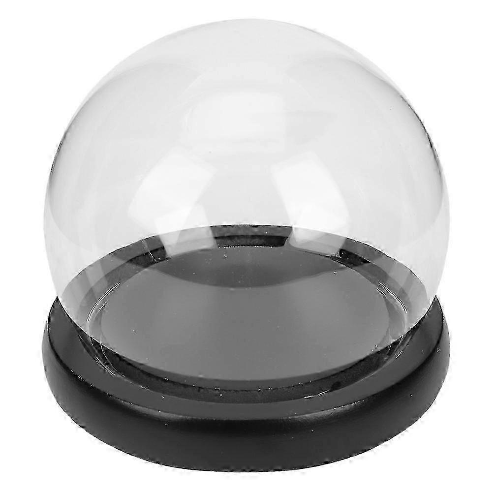 10cm Clear Dome Display With Solid Wood Base