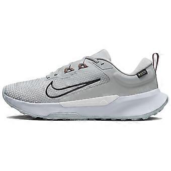 Nike Juniper Trail 2 Gore Tex Ljusrökgrå Fotbollsgrå Glaciärblå Svart Dam FB2065-005