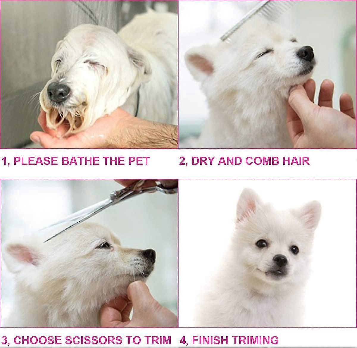 Dog Grooming Scissors Kit With Safety Round Tip, Stainless Steel