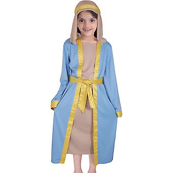 white christmas dresses Navy Blue Nativity Twirly Dress for Girls main image 0