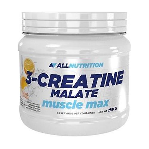 3-Creatine Malate, Orange 250 g