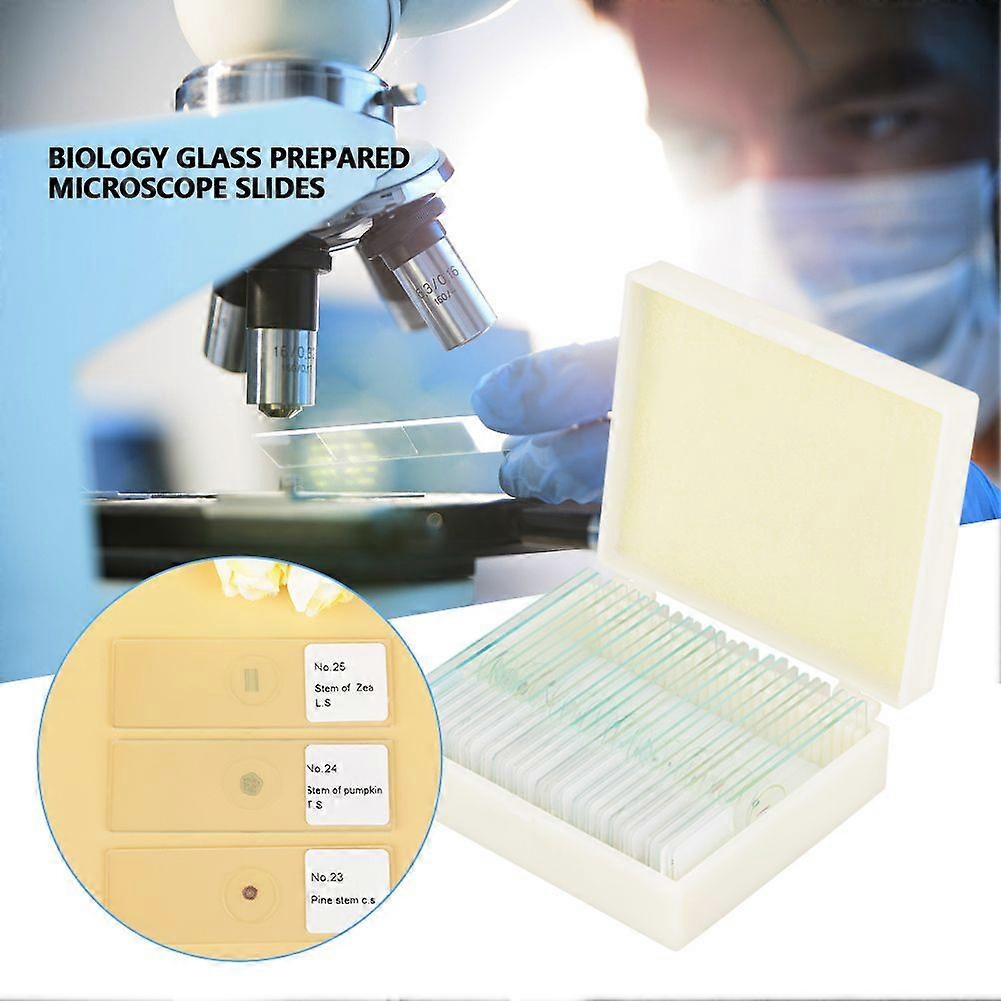 25pcs Biology Glass Prepared Microscope Slides Lab Specimens With Box