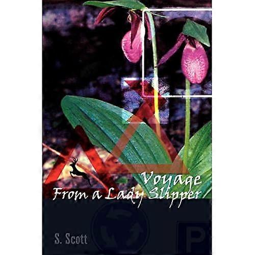 Voyage from a Lady Slipper