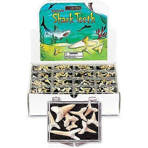 Geocentral Shark Teeth