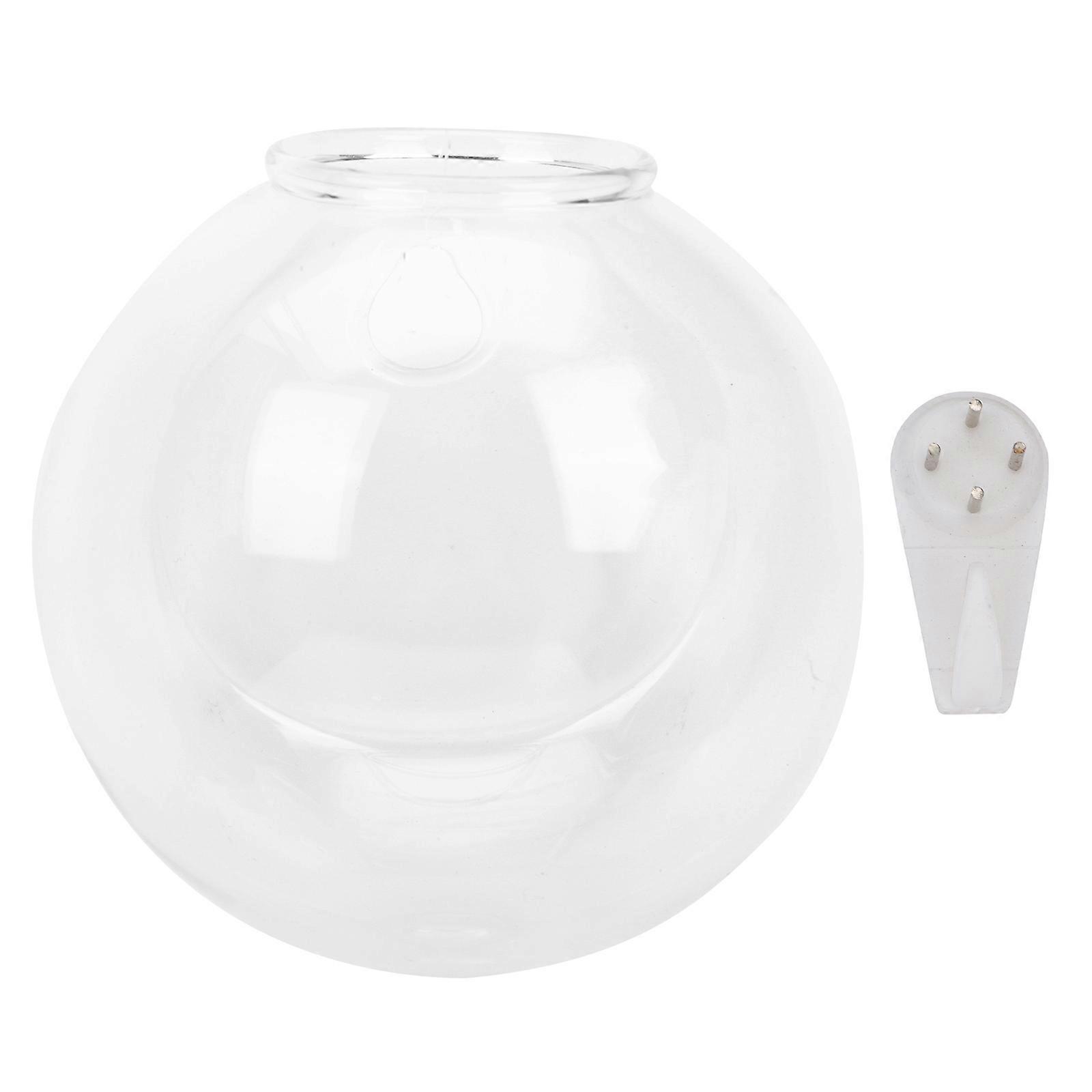 Hanging Glass Vase Transparent with Clear DIY View for Home Use Versatile