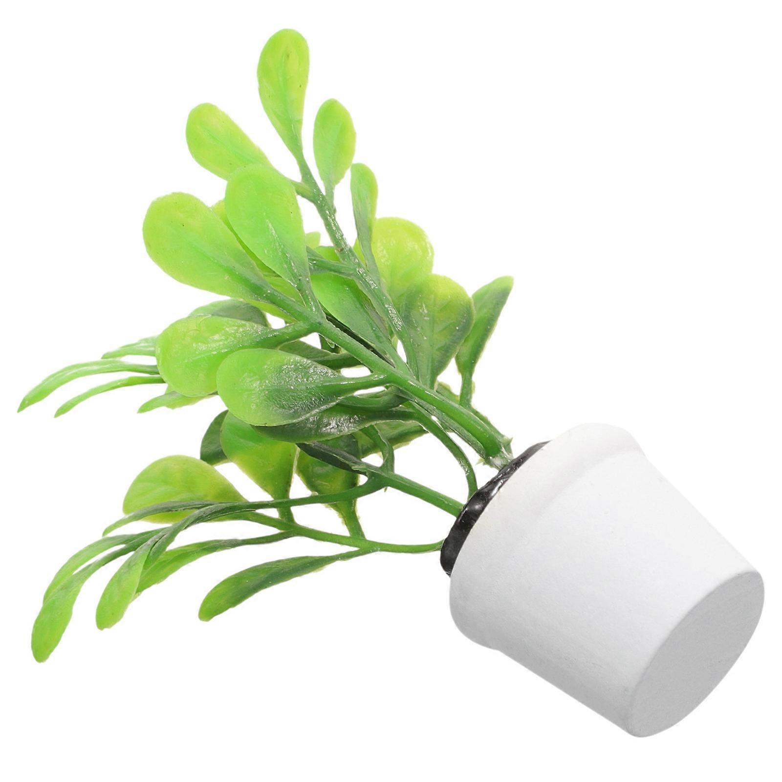 Mini Plants Miniature Plants for Dining Table Centerpiece 5Pcs Multi