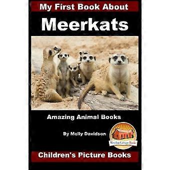Ensimmäinen kirjani Meerkateista - Amazing Animal Books - Lasten kuvakirjat