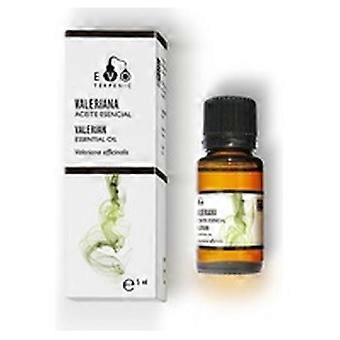 Valerian Essential Oil 5 ml of essential oil