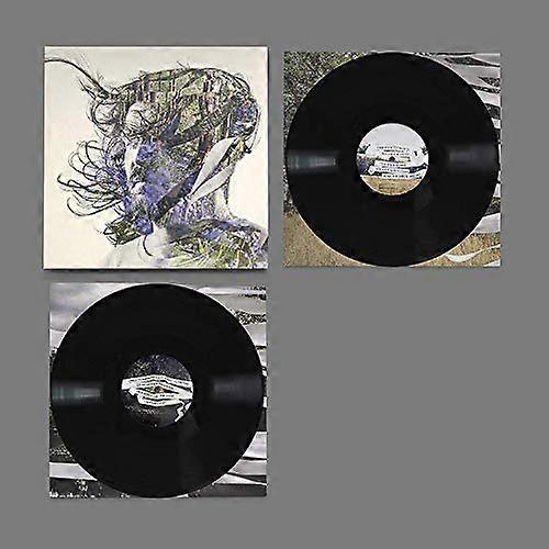 Bibio - Ribbons  [VINYL]