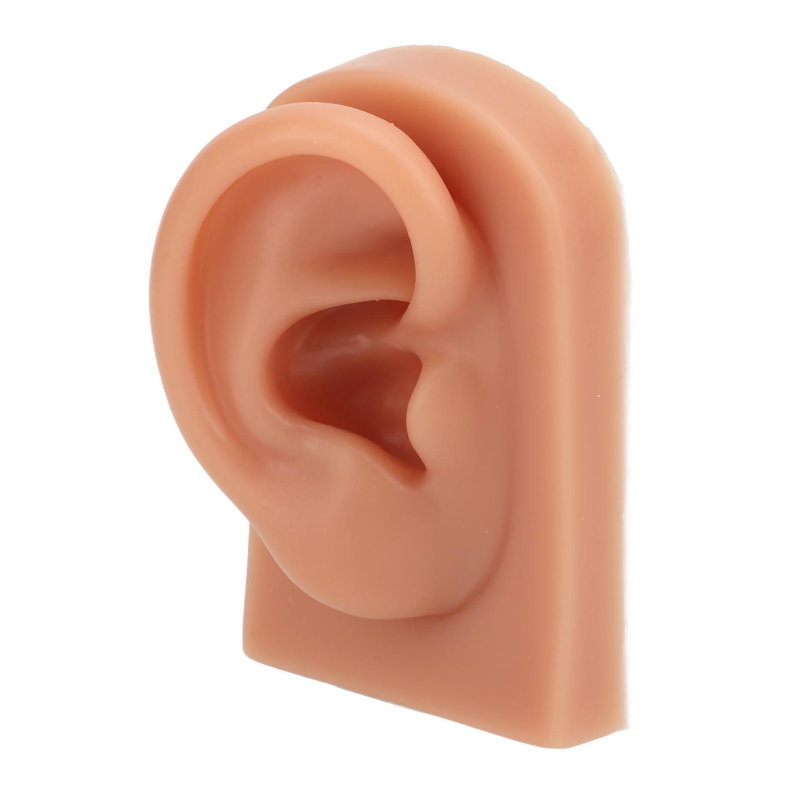 3D Piercing Practice Ear Model Dark Skin Color Soft Silicone Ear Model for Earrings Display Acupuncture Right