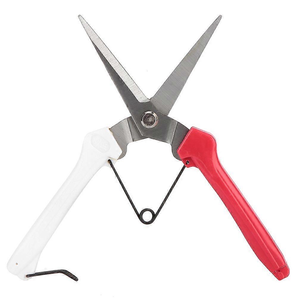 Rot & Weiß Edelstahl Gartenschere Cutter Gartenarbeit Pflanze Schere Zweig Pruner