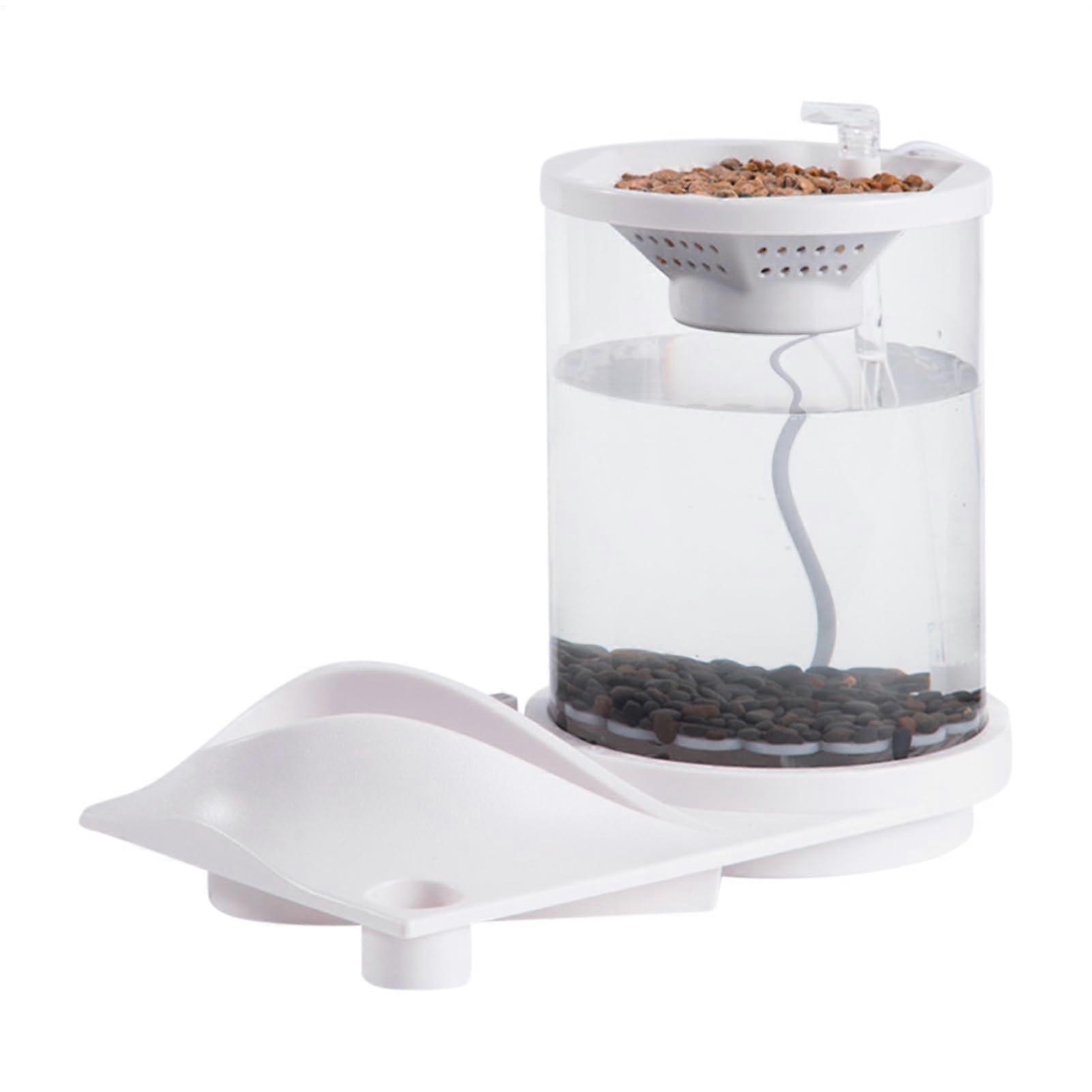 Small Aquaponic Aquarium, Desktop Betta Aquarium, Selfsustaining Fishbowl with Filter, White