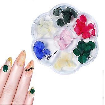 1 pudełko suszone paznokcie kwiatowe dekoracja DIY paznokcie sztuka fałszywe kwiaty dla kobiet manicure DIY ozdoby do paznokci