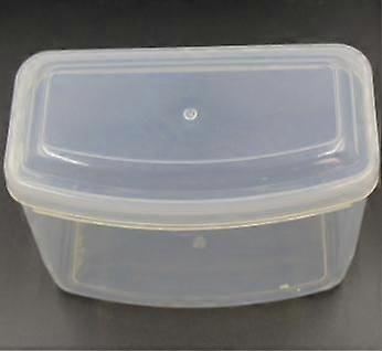 Snorkeling Mask Holder Protective Diving Mask Storage Case Waterproof Goggles Container Clear Protective Box for Swimming Goggles