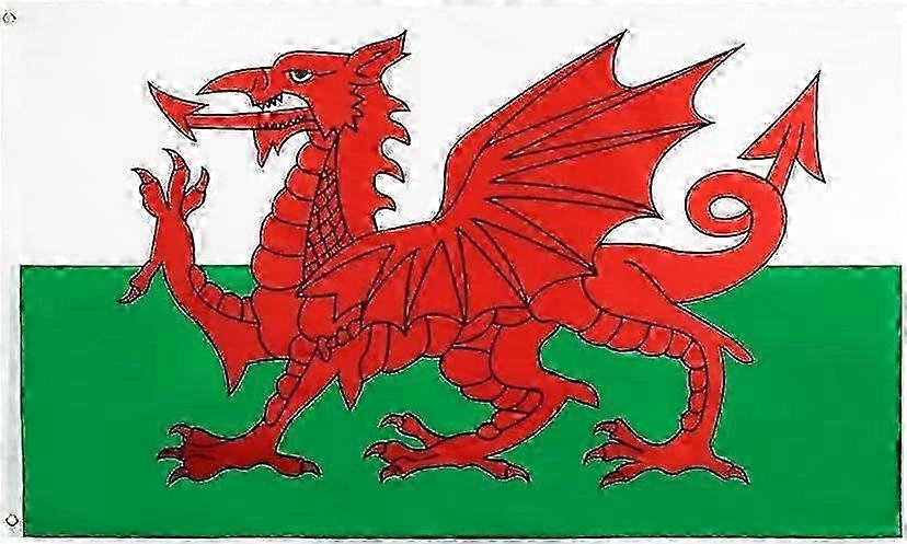 Wales Flag s - Welsh Flags QI 0810 z