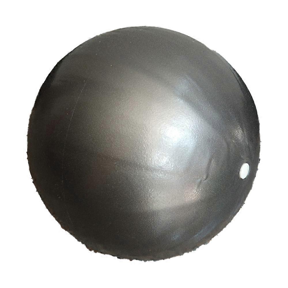Sporting Goods > Exercise & Fitness > Exercise Balls