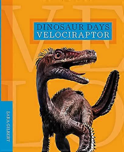 Velociraptor (dinosaure jours)