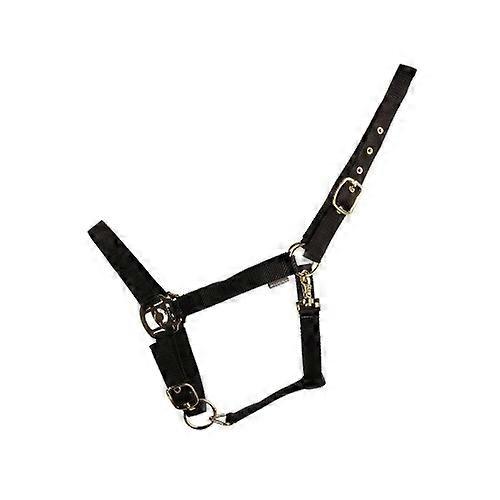 HYCONIC Horse Headcollar