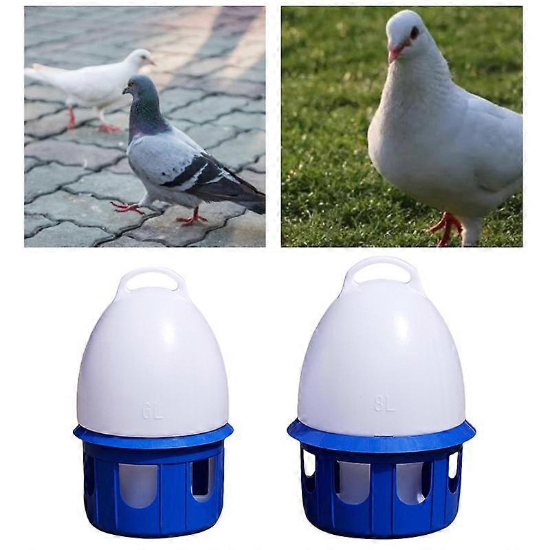 Premium Automatic Bird Water Fountain for Parakeets - Easy Hydration Solution