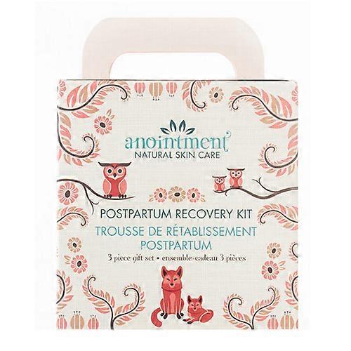 Anointment Natural Skin Care Postpartum Recovery Kit, 1 Each