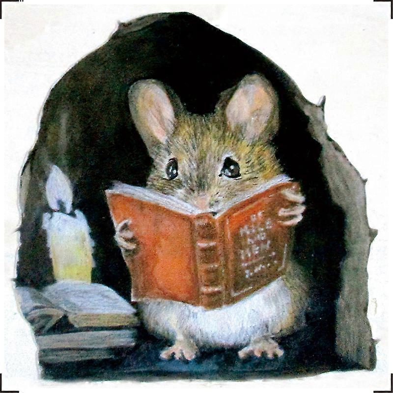 3D Mouse Funny Reading Wall Decals