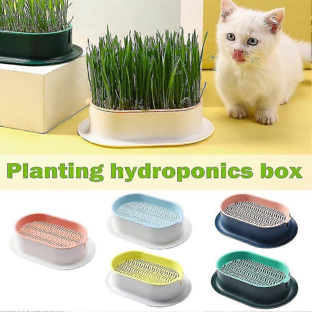 Hydroponic Cat Grass Planter Tray Plastic Catnip Cat Grass Box Soil Free Cat Grass Growing Box Cats Snack Tray