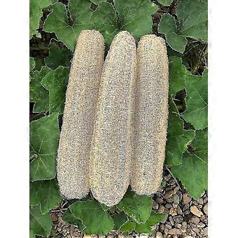 Natural Bath Loofahs Sponges Large Organic Luffa Shower Sponges Skin Body Back Exfoliating Scrubber For Daily Personal Care (3 Pack)