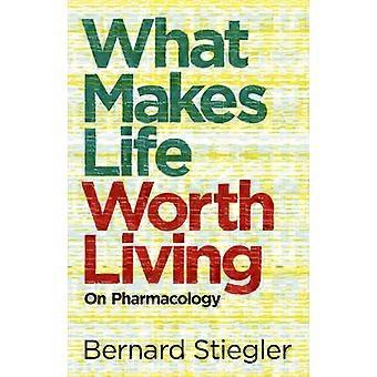 What Makes Life Worth Living