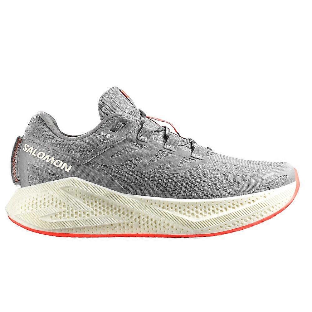 Shoes Salomon Aero Glide 3 478106