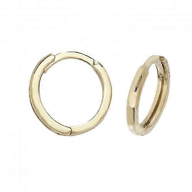 9ct Yellow Gold Hinged Earrings ES160