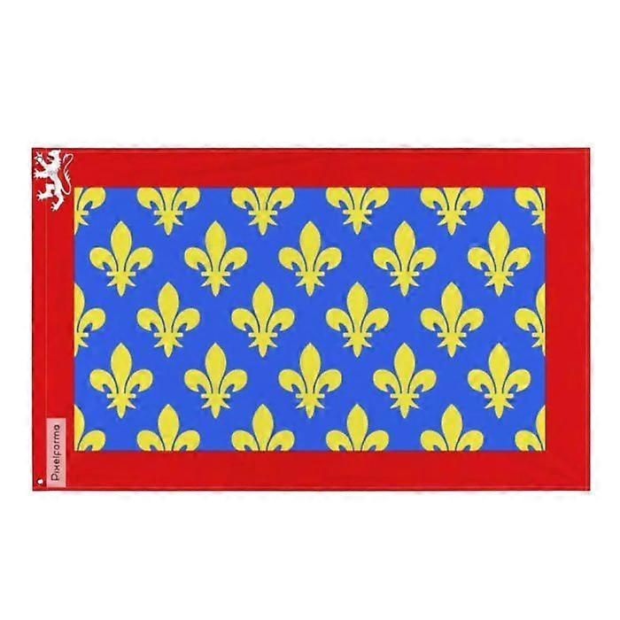 Flag - Sarthe - 90 x 150 cm - Polyester - Double-sided printing - Eyelets in iron