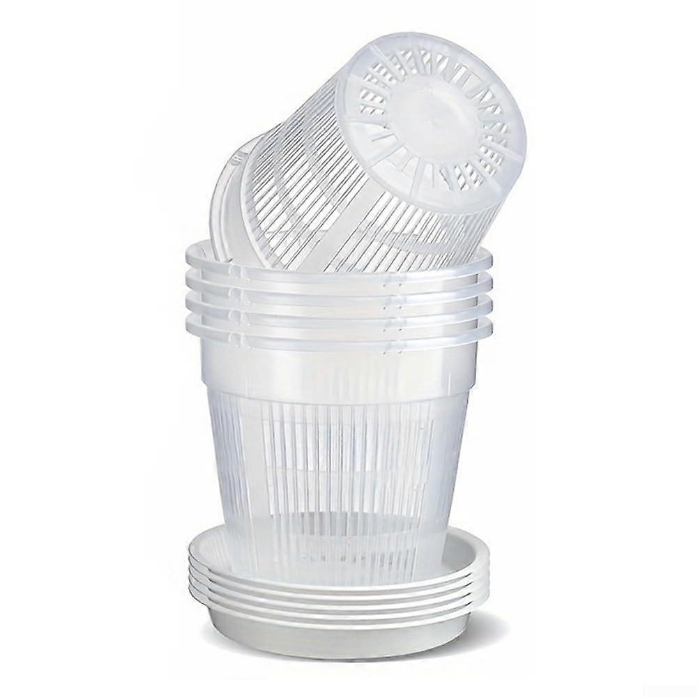 Orchid Container PP Plastic 6-Pack 16 cm Diameter Excellent Airflow For Orchids