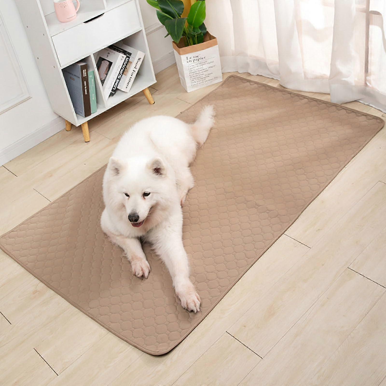Thickened Pet Urine Pad, Reusable Pet Training Pad, Pet Floor Mat, Absorption, QuickDrying Deodorizing for Floor, Sofa (Coffee)