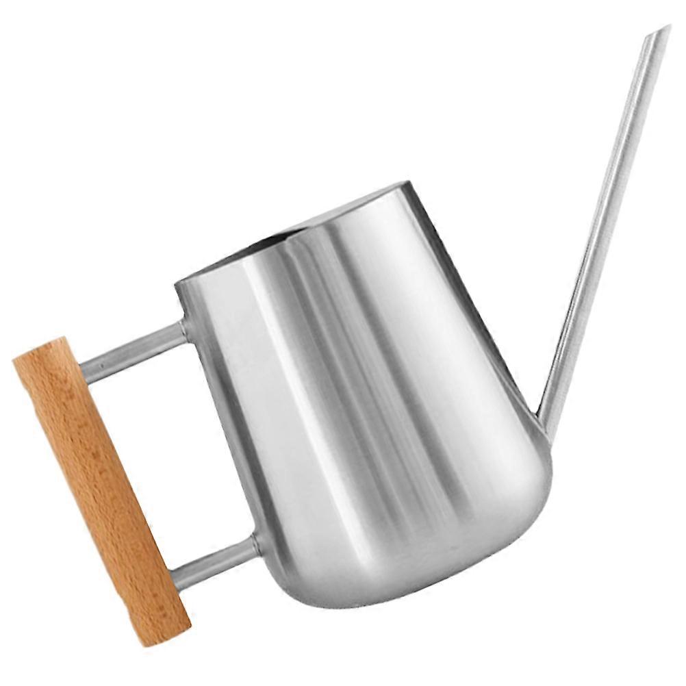 Sturdy Stainless Steel and Wood Watering Can with Long Spout for Indoor Plants Home Use Silver