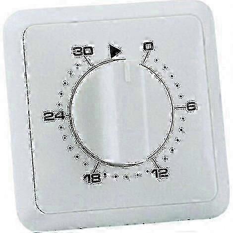 Analog Day Program Timer for Recessed Mounting 30 Min XH